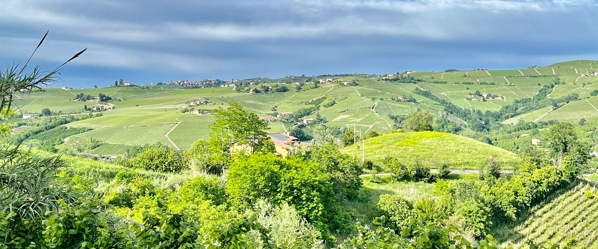Ingresso della casa